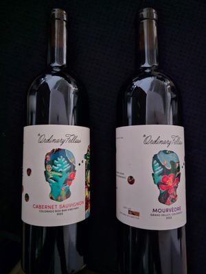 The Ordinary Fellow by null