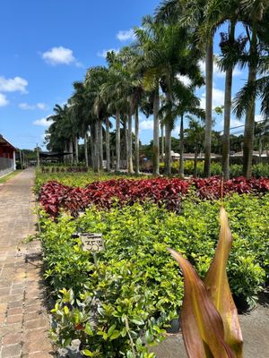 Rorabeck's Plants & Produce Inc by null