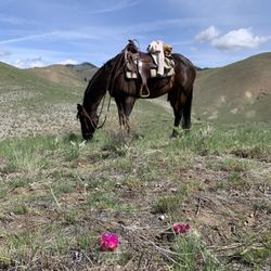 Rawhide Outfitters