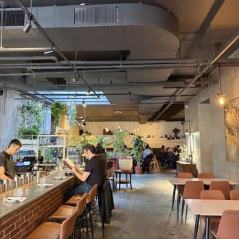 Antidote - Cocktail Bars Near Me - Brooklyn, New York