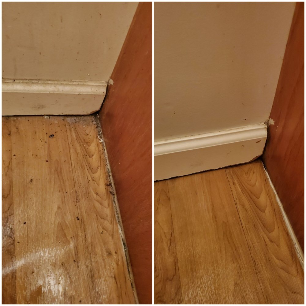 JOHNSON’S JUST LIKE NEW CLEANING SERVICES 15 Photos Lebanon