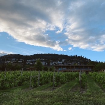 Old Vines Restaurant - Canadian (New) Near Me - Kelowna, British Columbia