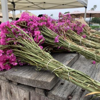 Alma Backyard Farm - 5/14/23 HAPPY MOTHERS DAY to ALL the fabulous & Wonderful Moms out there - Farmers Market Near Me - Compton, California