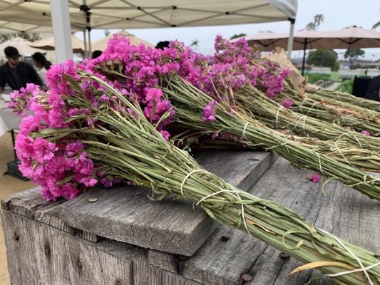 Alma Backyard Farms by null