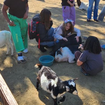 Barnyard Buddies - Kids and critters connect. - Petting Zoos Near Me - Lakewood, California Barnyard Buddies - Kids and critters connect. - Petting Zoos Near Me - Lakewood, California