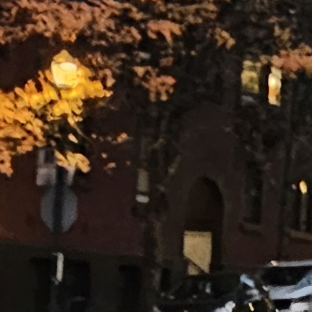 Director Park - 11/9/2024 - Indigenous People's Fry Bread Festival. Walking to my car parked right across the street in fall leaves. - Parks Near Me - Portland, Oregon