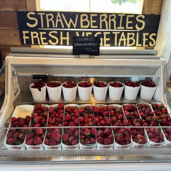 Sunflower Farm Stand - Honey Near Me - Sanger, California