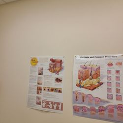 Skin Cancer Specialists, P.C. & Aesthetic Center