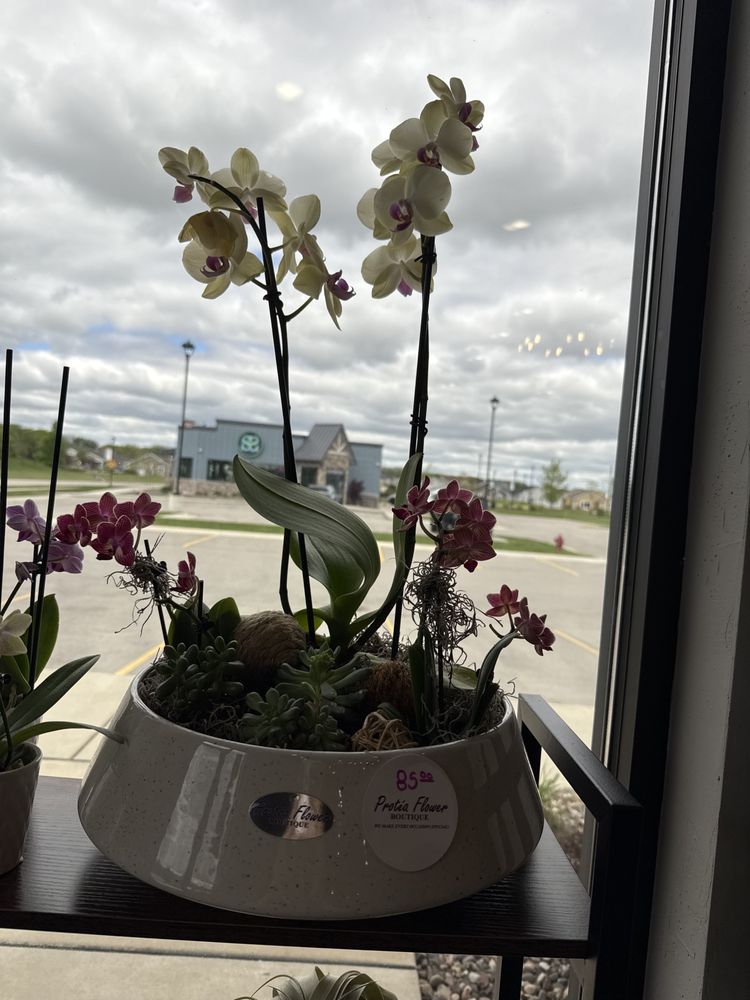 Protea Flower Boutique