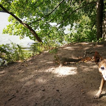 Bramfelder See - Fotobomb :D - Lakes Near Me - Hamburg, HH