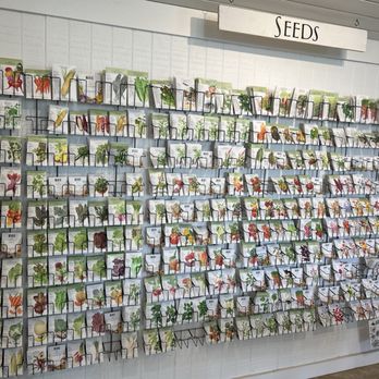 Green Sleeves Nursery - Seeds! - Nurseries & Gardening Near Me - Pflugerville, Texas Green Sleeves Nursery - Seeds! - Nurseries & Gardening Near Me - Pflugerville, Texas