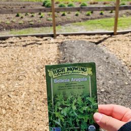 May 21 - During "Grounded & Grateful Garden Care" planting some arugula after learning gardening & sustainability tips! May 21 - During "Grounded & Grateful Garden Care" planting some arugula after learning gardening & sustainability tips!