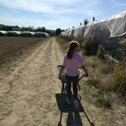 Les Fermes de Gally