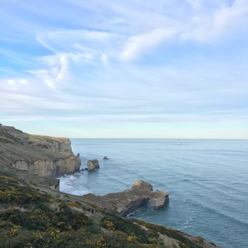 Tunnel Beach - Local Flavor Near Me - Dunedin, OTA