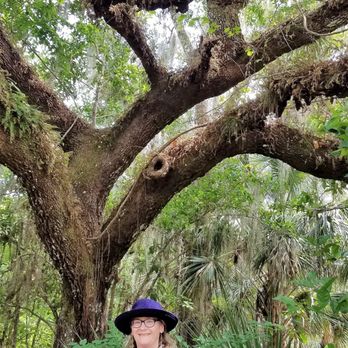 Turkey Creek Sanctuary - Me next to the "Tree House" - Parks Near Me - Palm Bay, Florida Turkey Creek Sanctuary - Me next to the "Tree House" - Parks Near Me - Palm Bay, Florida