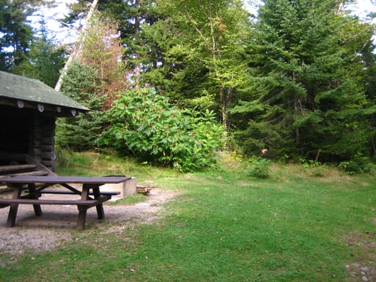 Cobscook Bay State Park by null