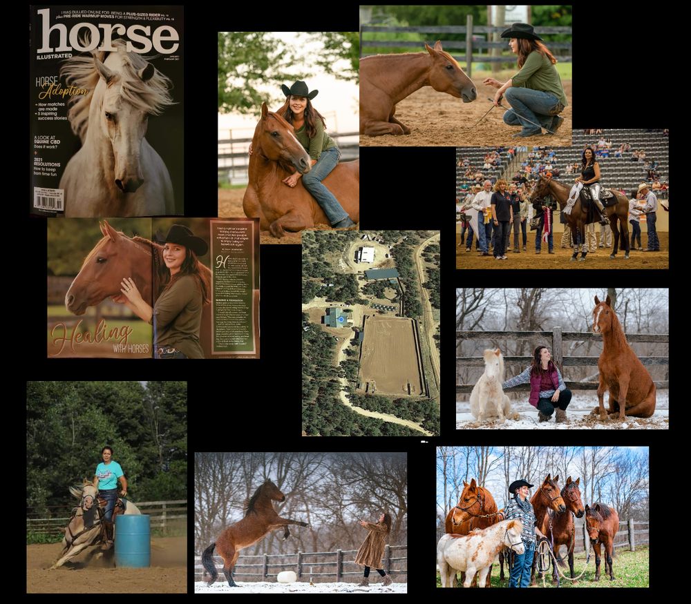 Double H Horse Farm - equestrian in Estancia, NM