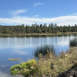Woodland Lake Park - So tranquil...