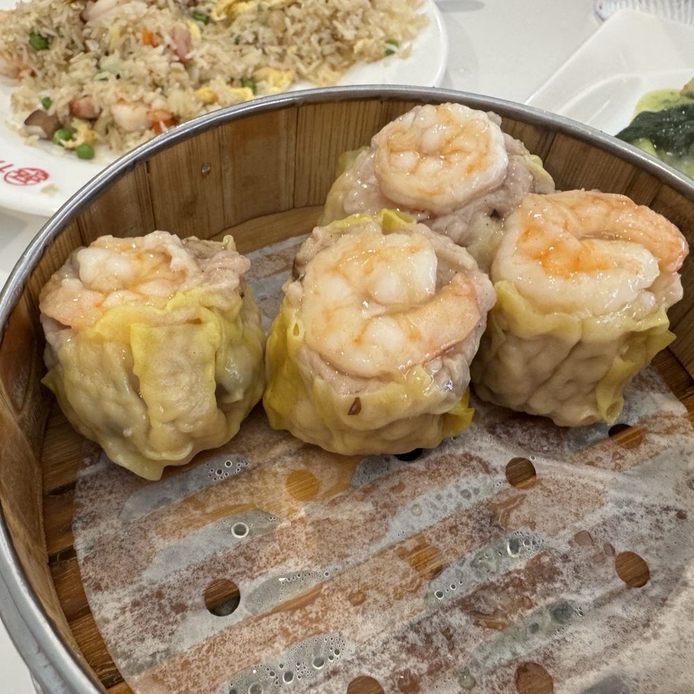 Tasty Modern Asian Kitchen - Dim Sum Near Me - San Antonio, Texas Tasty Modern Asian Kitchen - Dim Sum Near Me - San Antonio, Texas