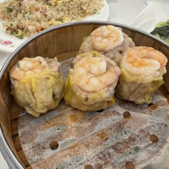 Tasty Modern Asian Kitchen - Dim Sum Near Me - San Antonio, Texas Tasty Modern Asian Kitchen - Dim Sum Near Me - San Antonio, Texas