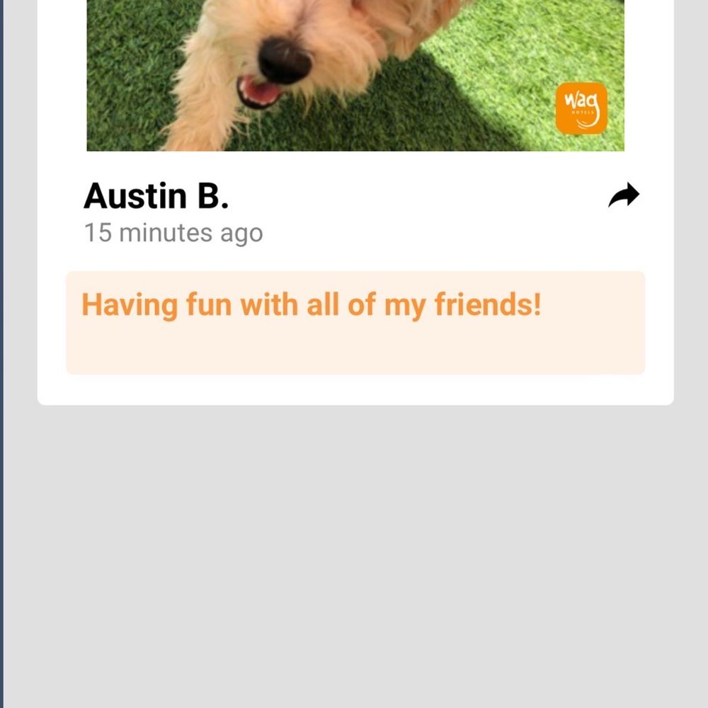 Wag Hotels - Carson - Updates - Pet Training Near Me - Carson, California Wag Hotels - Carson - Updates - Pet Training Near Me - Carson, California