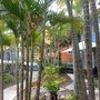 Photo of Sails Lifestyle Resort