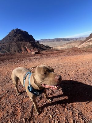 Historic Railroad Hiking Trail by null