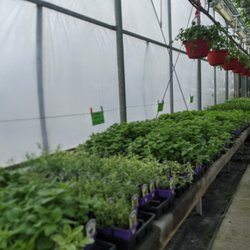 Garden Spot Greenhouse