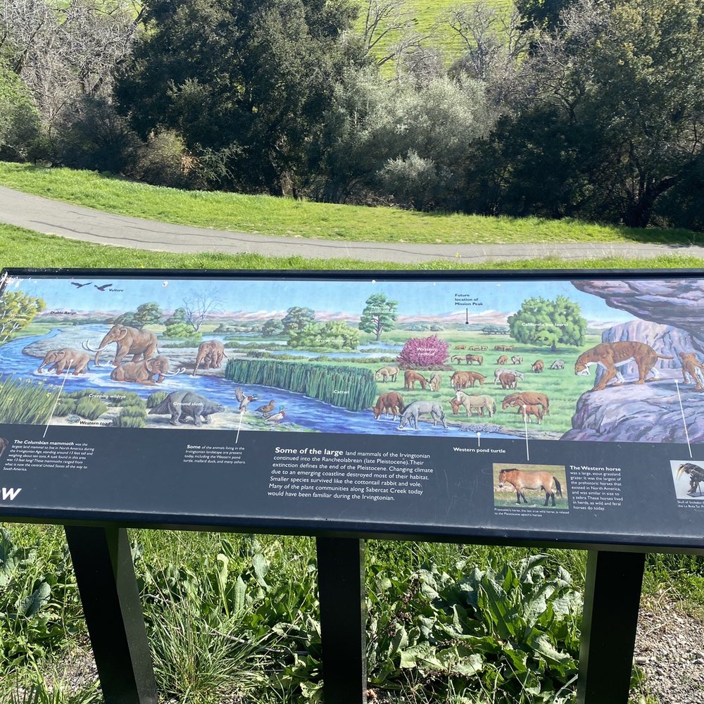 Sabercat Creek Trail - Parks Near Me - Fremont, California Sabercat Creek Trail - Parks Near Me - Fremont, California