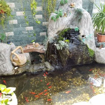 Chef Wang - I love the water pond with the fish as you come in - Sushi Bars Near Me - New Hyde Park, New York Chef Wang - I love the water pond with the fish as you come in - Sushi Bars Near Me - New Hyde Park, New York