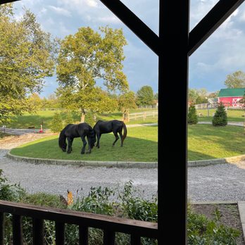 Branch Hill Estate - Horses grazing in front of the Cabin at Branch Hill Estate - Vacation Rentals Near Me - Loveland, Ohio Branch Hill Estate - Horses grazing in front of the Cabin at Branch Hill Estate - Vacation Rentals Near Me - Loveland, Ohio