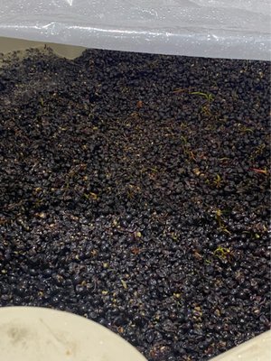 Valley to the Sea Winery by null