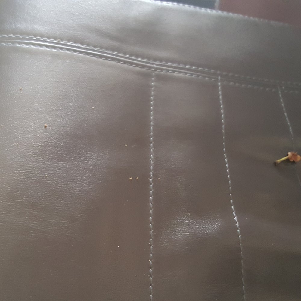 Icelandair - Seats hadn't been cleaned between flights, gross. - Airlines Near Me - Boston, Massachusetts Icelandair - Seats hadn't been cleaned between flights, gross. - Airlines Near Me - Boston, Massachusetts