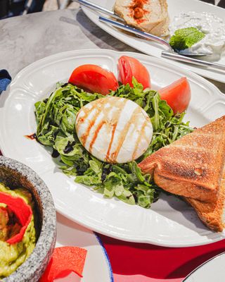 Meet Dalia - Mediterranean restaurant in Miami Beach by null