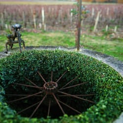 Château Brown - Puits et vignes du château Brown