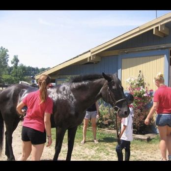 Cedar Lodge - Staff giving moose a bath - Campgrounds Near Me - Lawrence, Michigan Cedar Lodge - Staff giving moose a bath - Campgrounds Near Me - Lawrence, Michigan