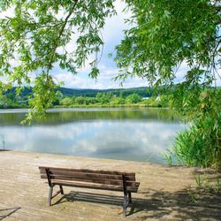 Bürgerpark - Köhlerteich