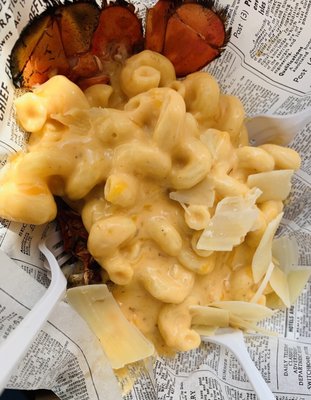 White Horse Winery by null