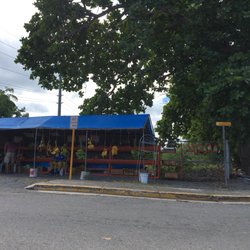 Rincon Fruit Stand - They sell avocados, which is difficult to find in Rincon for some reason
