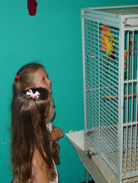 Smallville Preschool - childcare center in Cape Coral, FL