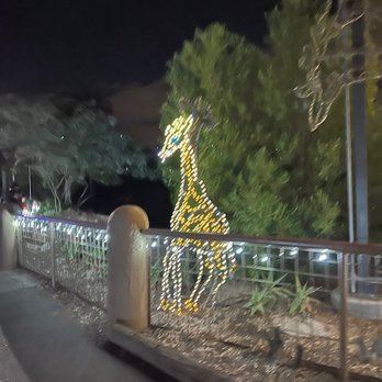 Zoolights - Zoos Near Me - Phoenix, Arizona