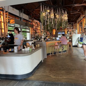 Muchacho - Tacos Near Me - Atlanta, Georgia