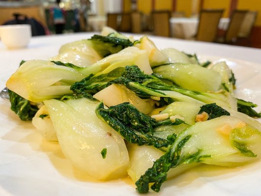 New Happy Garden by null