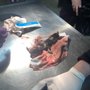 Photo of Argo Animal Clinic