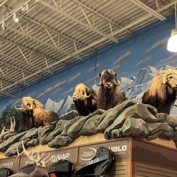 Cabela's