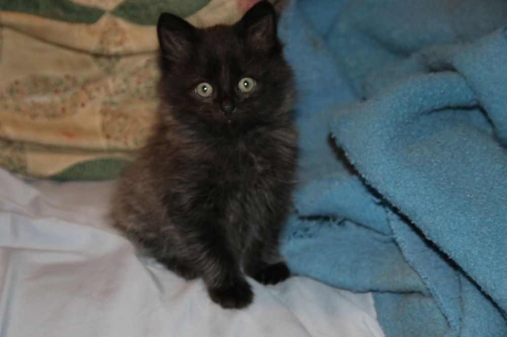 Slide of Neighborhood Plumbing