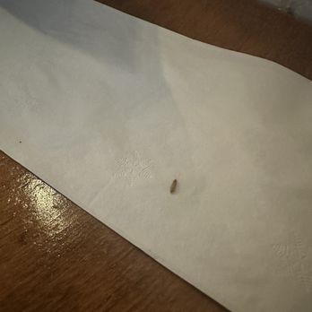 Sequoia Brewing - Here's what was on the napkins that Peter gave us!!! - American Near Me - Fresno, California