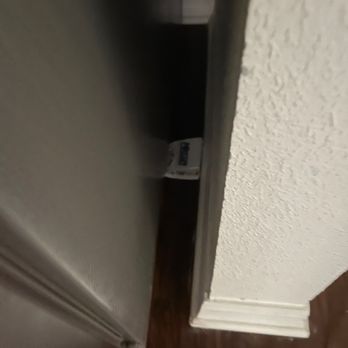 AMH - Property Management Near Me - Tampa, Florida