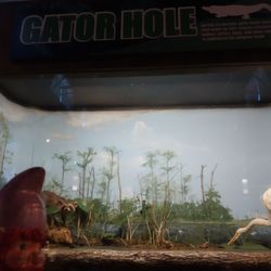 United States Fish and Wildlife Service - Bayou Lacombe Centre