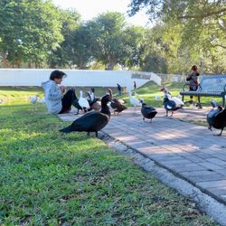 Humane Animal Removal - Kids watching Muscovy ducks at Coral Reef Park in Palmetto Bay. A glimpse of local wildlife in a family friendly setting.